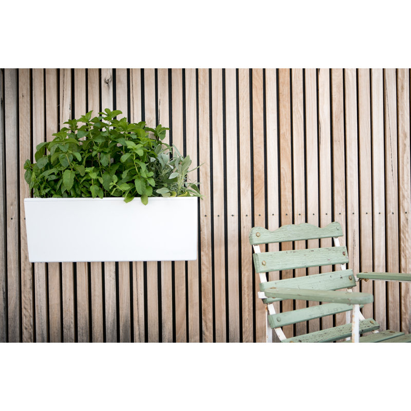 Symple Stuff Trotwood SelfWatering Plastic Wall Planter & Reviews